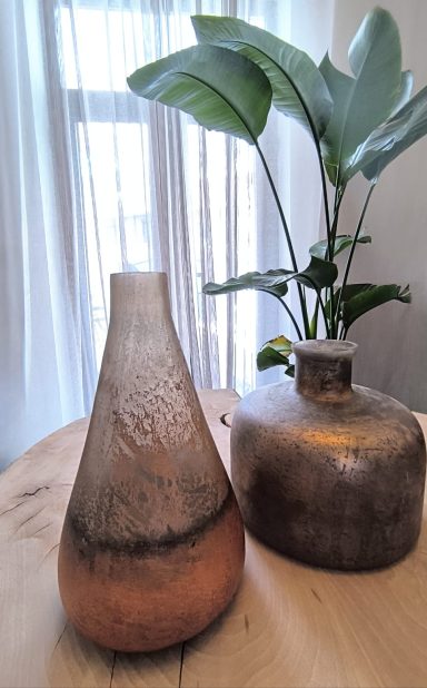 Twee vazen, een met een reliefoppervlak en een metalen, naast een groene plant.